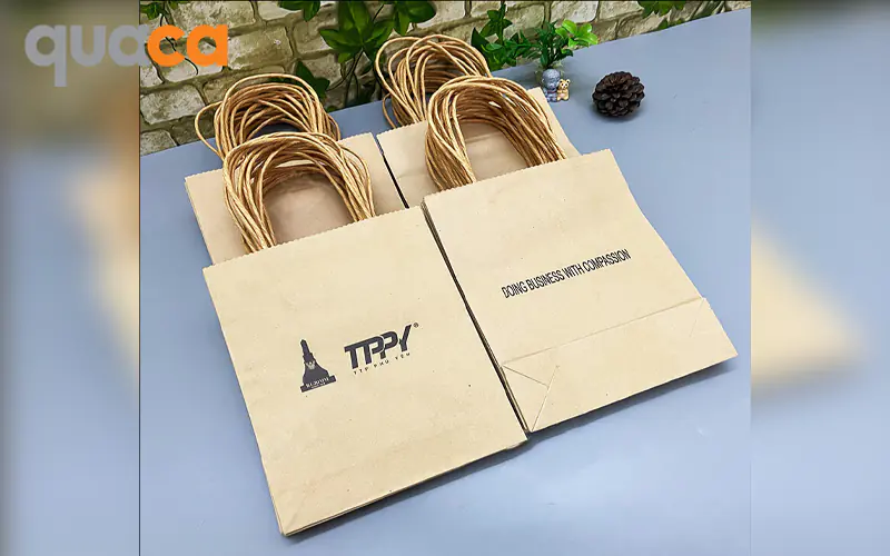 In túi giấy kraft mẫu số 1
