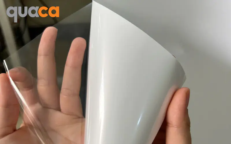Lý do nên in Poster PP tại Quaca