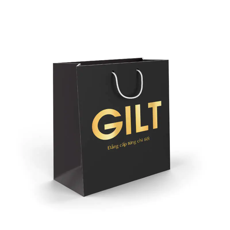 Túi giấy - Paper Bag