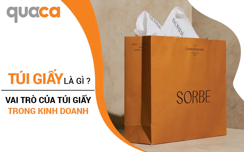 Túi giấy là gì? Vai trò của túi giấy trong kinh doanh