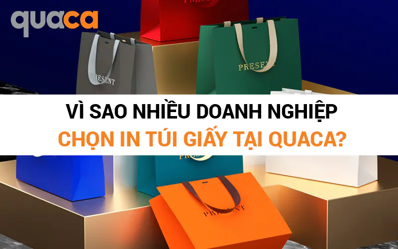 Vì sao nhiều doanh nghiệp chọn in túi giấy tại Quaca?