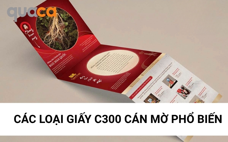 Các loại giấy C300 cán mờ phổ biến