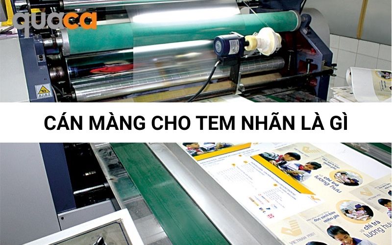 Cán màng cho tem nhãn là gì