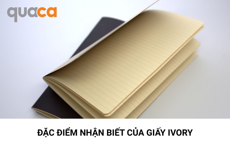 Đặc điểm nhận biết của giấy Ivory