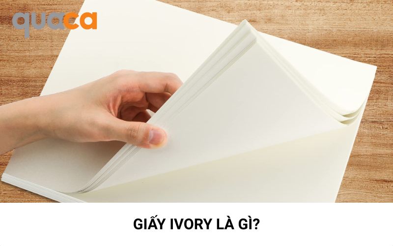 Giấy Ivory là gì?