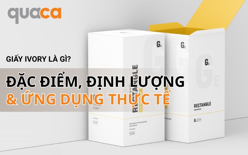 Giấy Ivory là gì? Phân loại, định lượng và ứng dụng thực tế
