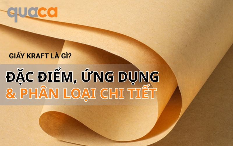 Giấy Kraft Là Gì? Đặc Điểm, Ứng Dụng Và Phân Loại Chi Tiết