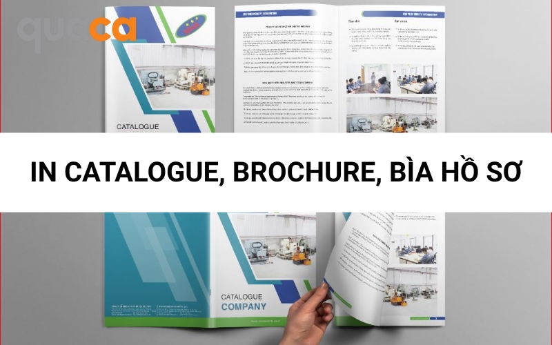 In catalogue, brochure và bìa hồ sơ cần độ dày