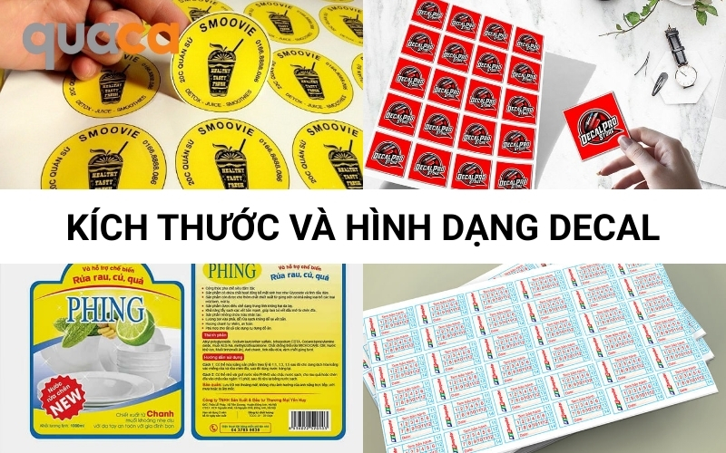 Kích thước và hình dạng