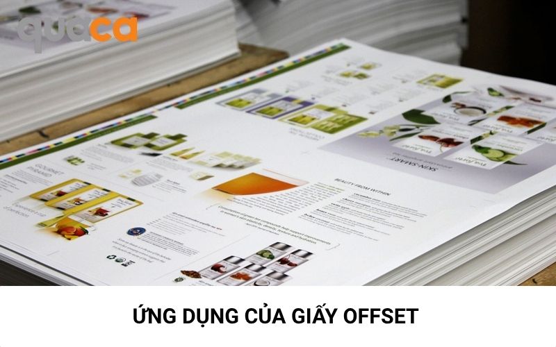 Ứng dụng của giấy offset trong in ấn thực tế